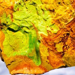 1lb Gary Green Jasper Bog Wood Larsonite Caldera Freedom Stone Rough Raw Natural